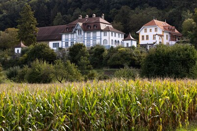 Landgut Château de Marnand - Hot-air balloon studio