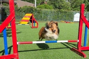 Interior - Wan Wan Paradise Yatsugatake (Hokuto)