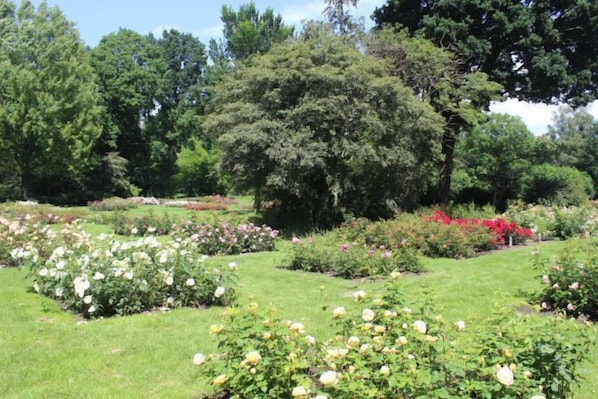 A garden with various plants and flowers, including roses and red bushes. - City Hotel Winschoten (Winschoten)
