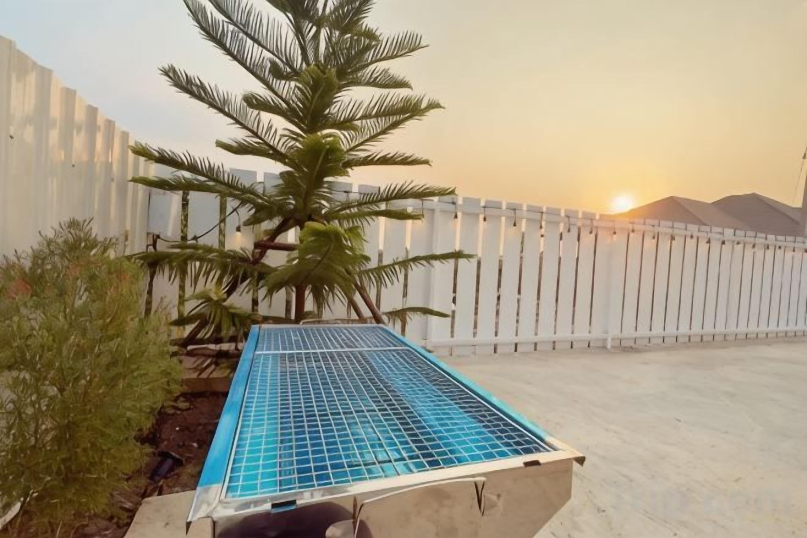 A solar panel, a palm tree, and a white fence.