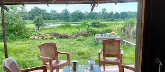 JAMTARA FARMSTAY pench tiger reserve