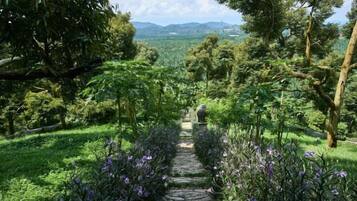 Àrea exterior de l'allotjament