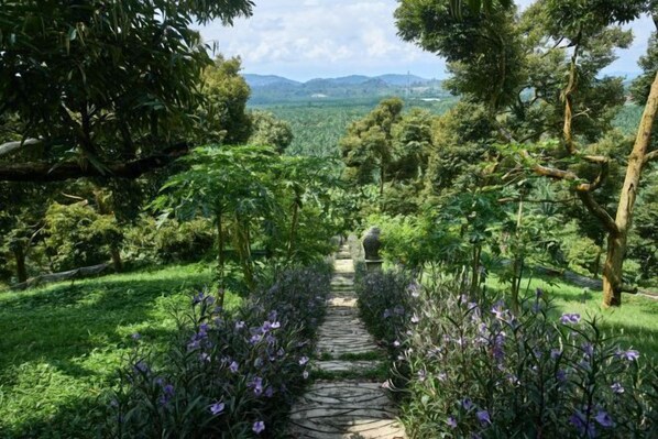 Property grounds - Bilut Hills - Eco Resort (Teras)