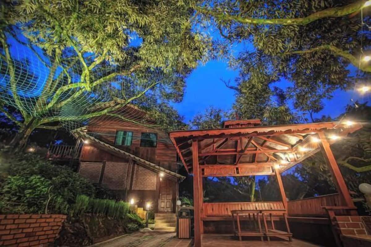 A wooden house with a covered patio and string lights, surrounded by lush greenery.
