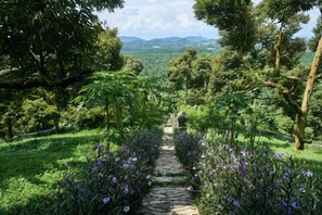 A stone pathway leading through a lush garden with purple flowers and trees. - Bilut Hills - Eco Resort (Teras)