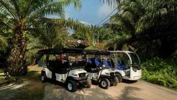 Zwei Golfcarts stehen an einer Straße, im Hintergrund sind Palmen zu sehen.
