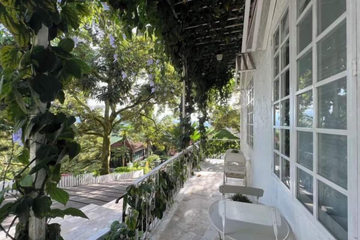 A covered outdoor area with a white wall and large windows, surrounded by greenery and a paved path.