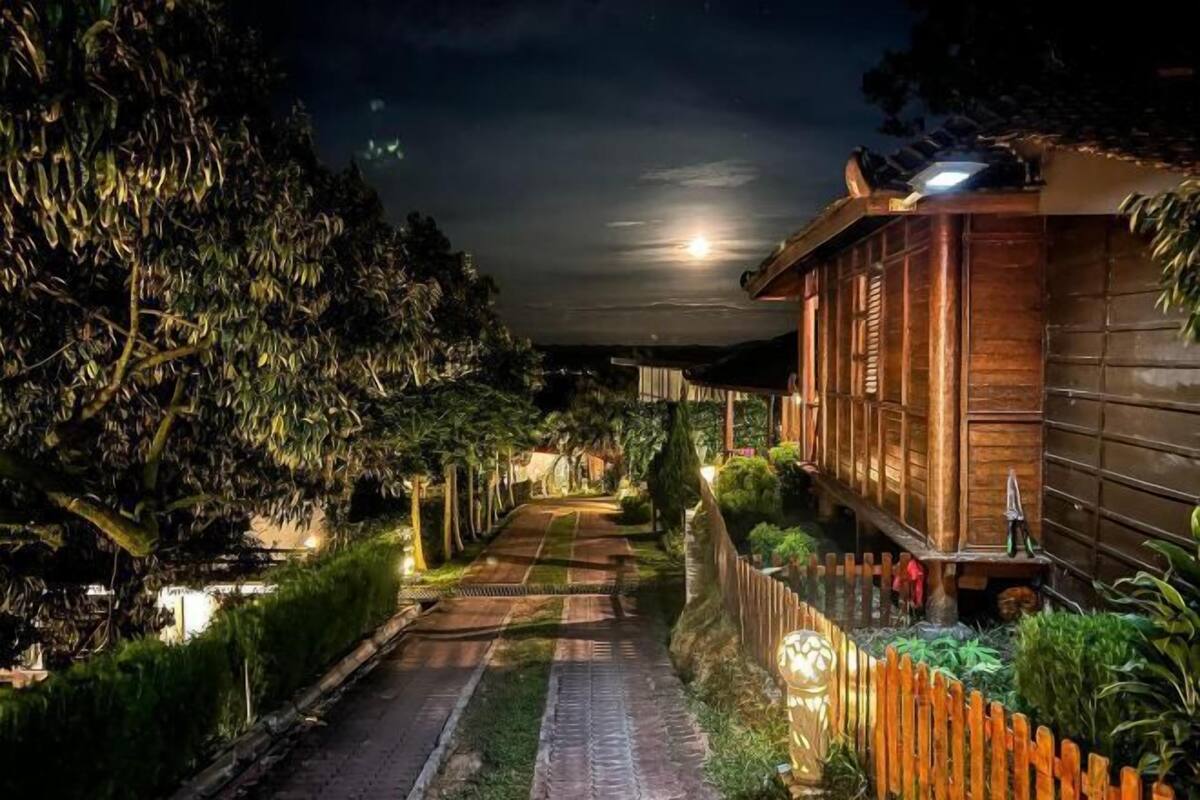 A pathway leading to a wooden building with a fence and greenery on both sides.