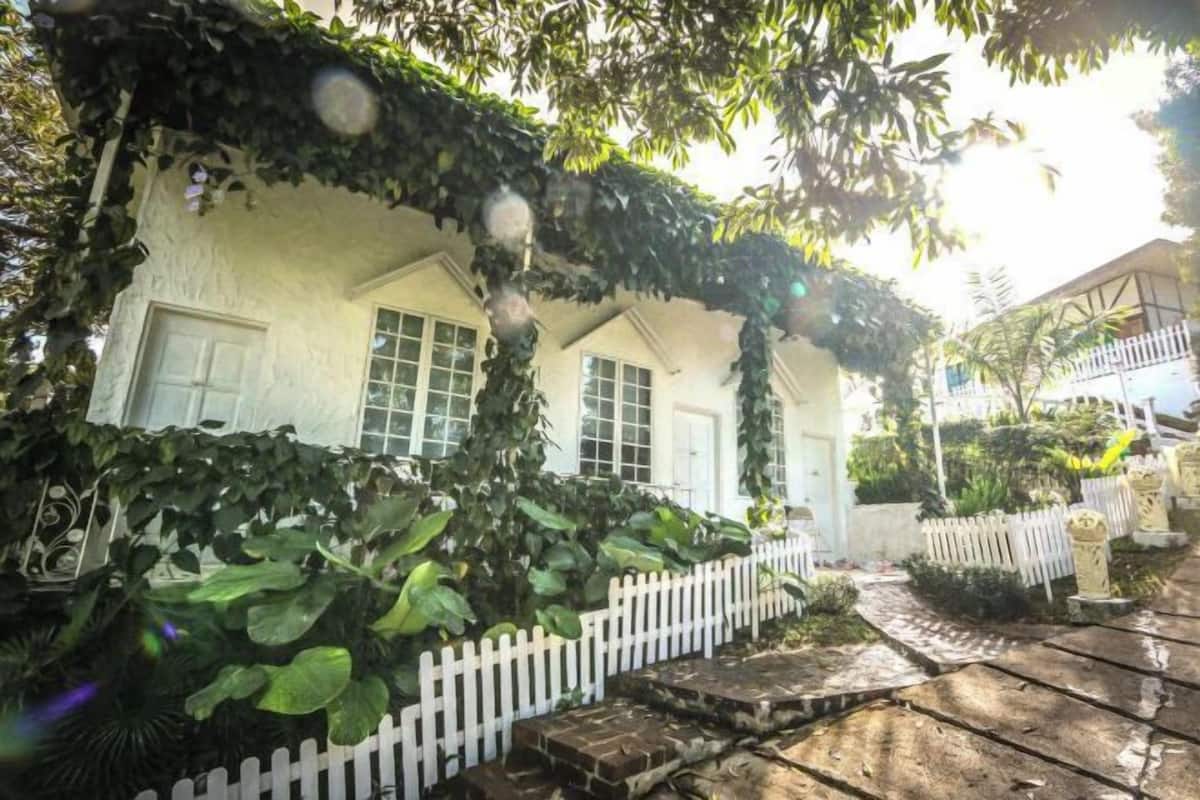 A white house with a white picket fence, a brick pathway, and lush greenery.