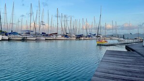 A marina with multiple sailboats docked.