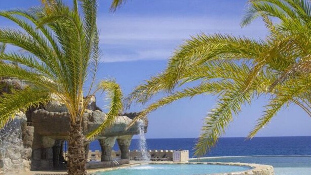 A pool area with palm trees, a stone structure, and a view of the ocean.