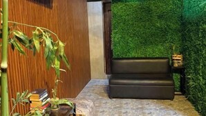 A room with a green wall, a black leather sofa, a small table with books, and a bamboo plant. - HM Eco Hotel Naia (Pasay)