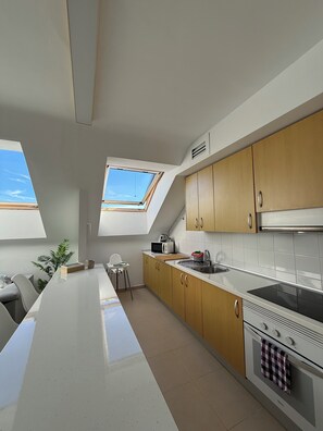 Fridge, microwave, oven, stovetop - The Attic (Moya)