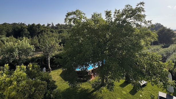 A lush green landscape with a clear blue sky. - Agroturismo Quinta Vale Salgueiro - Aurora family house - Serra da Estrela (Carragozela)