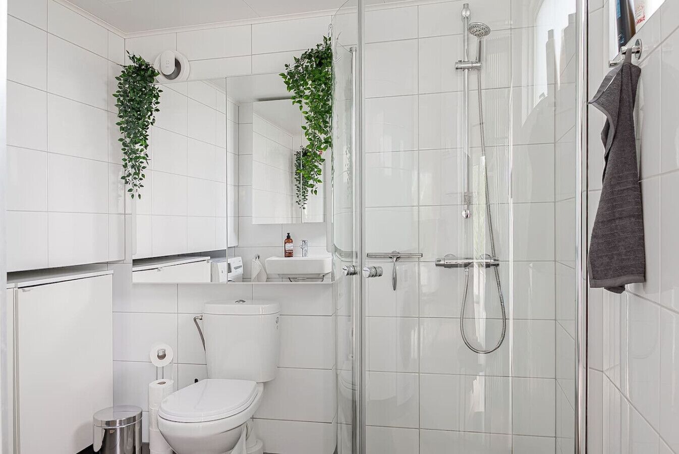 Douche, sèche-cheveux