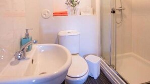 Une salle de bain avec un lavabo, des toilettes et une douche.
