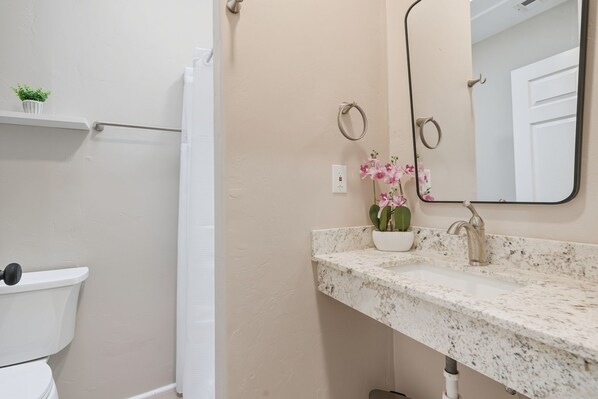 Une salle de bain comprenant des toilettes, une douche, un lavabo avec un plan de travail en marbre, un miroir et une petite étagère avec une plante.