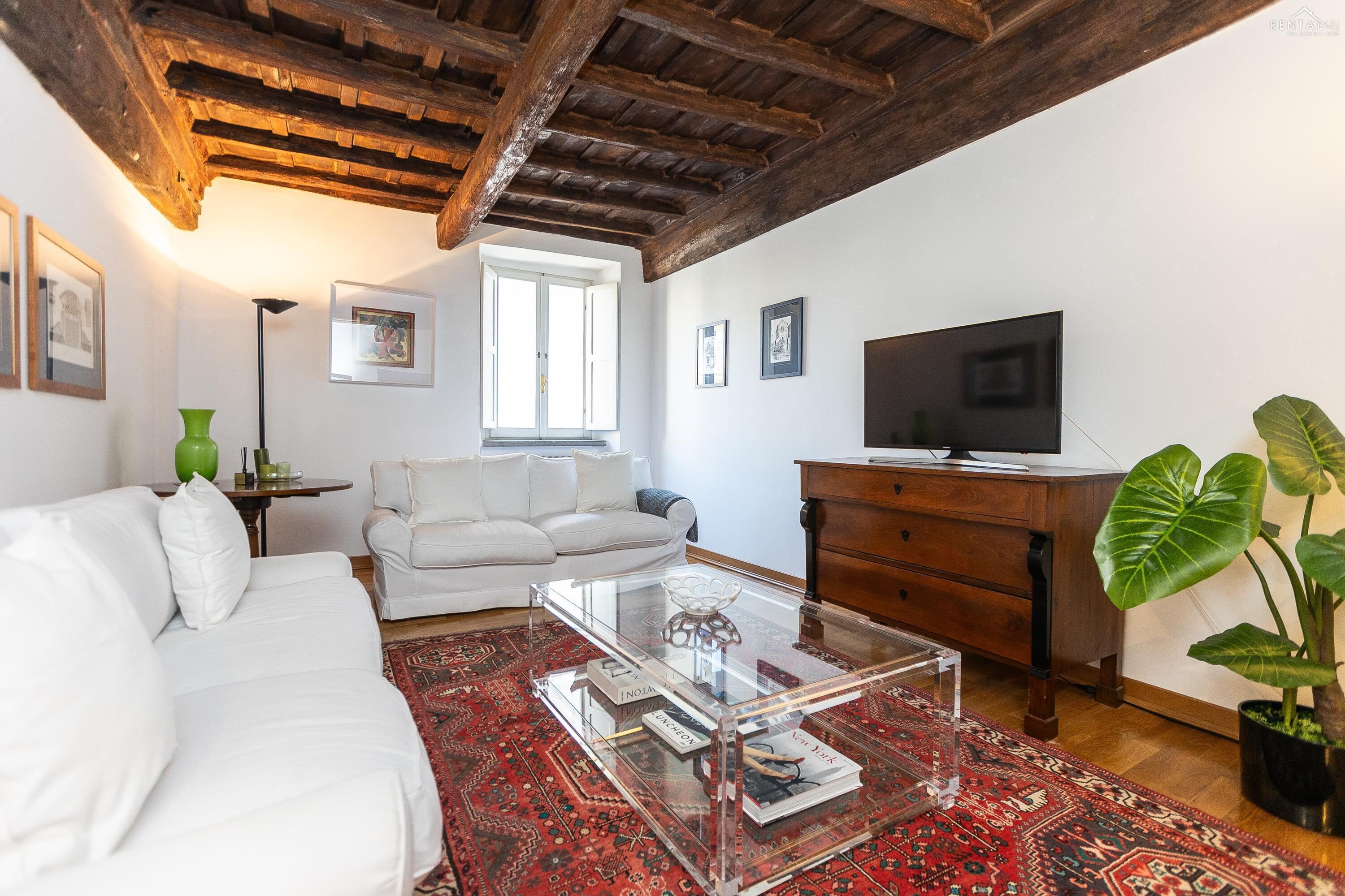 Un salon avec un canapé blanc, une table basse en verre, un meuble en bois, un téléviseur et une grande plante.