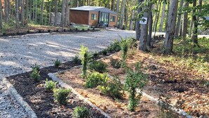 A cabin in a forest with a gravel driveway and a garden area with small plants.