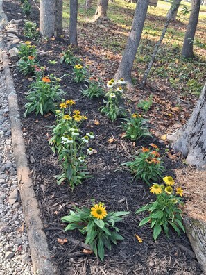 Property grounds - The Bunker, 2 bedroom expandable container tiny house (Oak Hill)