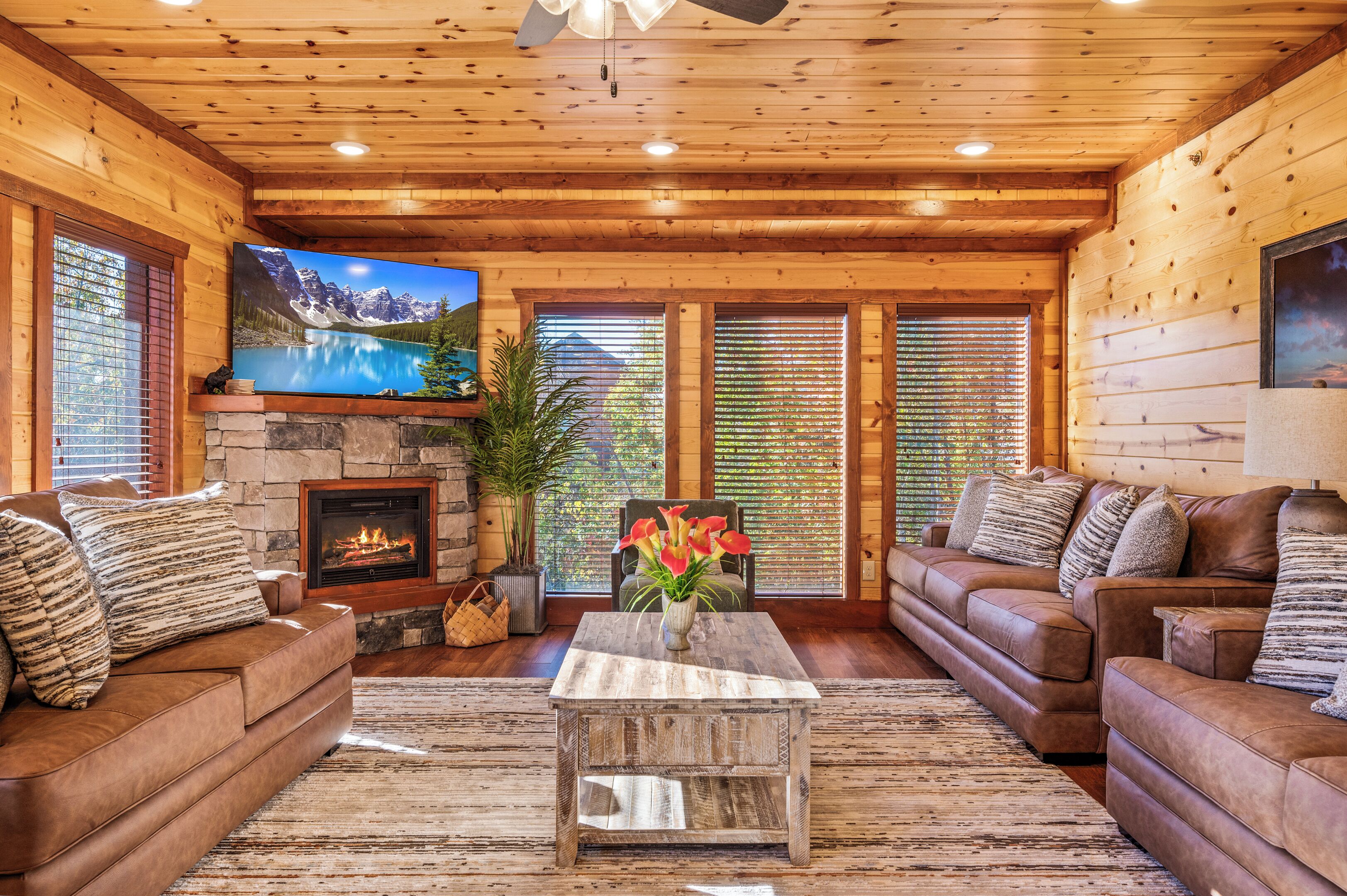 TV connectée, cheminée