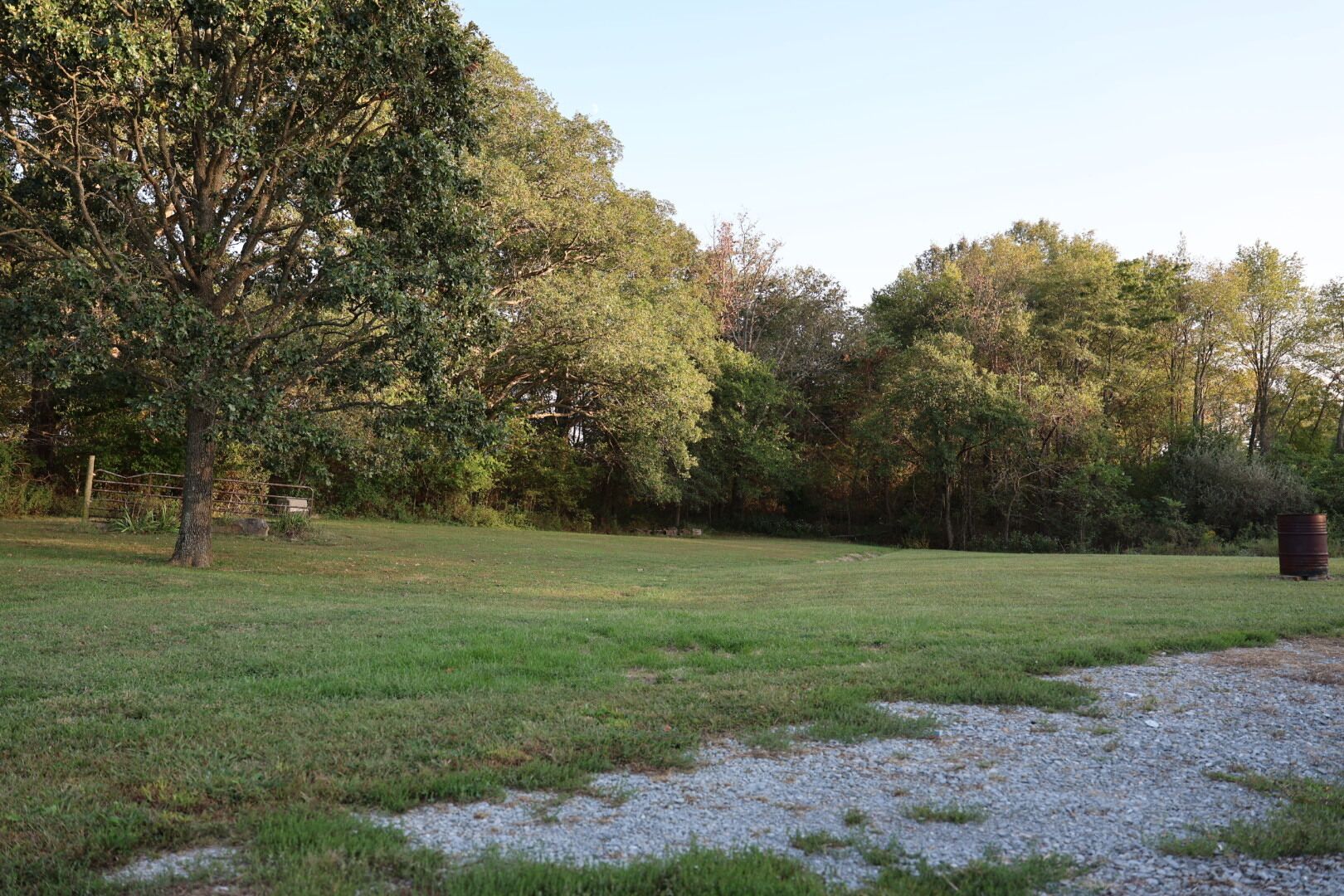 A grassy field with a large tree and a barrel in the foreground.