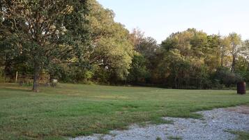 A grassy field with a large tree and a barrel in the foreground.