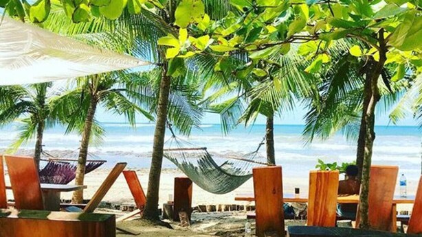 A beach with wooden chairs, a hammock, and palm trees. - Surfer`s Oasis Pool Villa The Point Playa Avellana (Playa Avellanas)