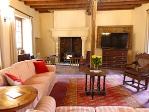 Televisión, chimenea, reproductor de DVD