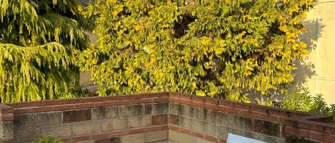 Détail de l’intérieur