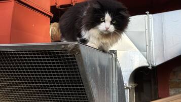 DĂ©tail de lâintĂ©rieur