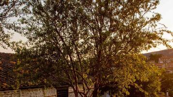 Children’s play area – outdoor