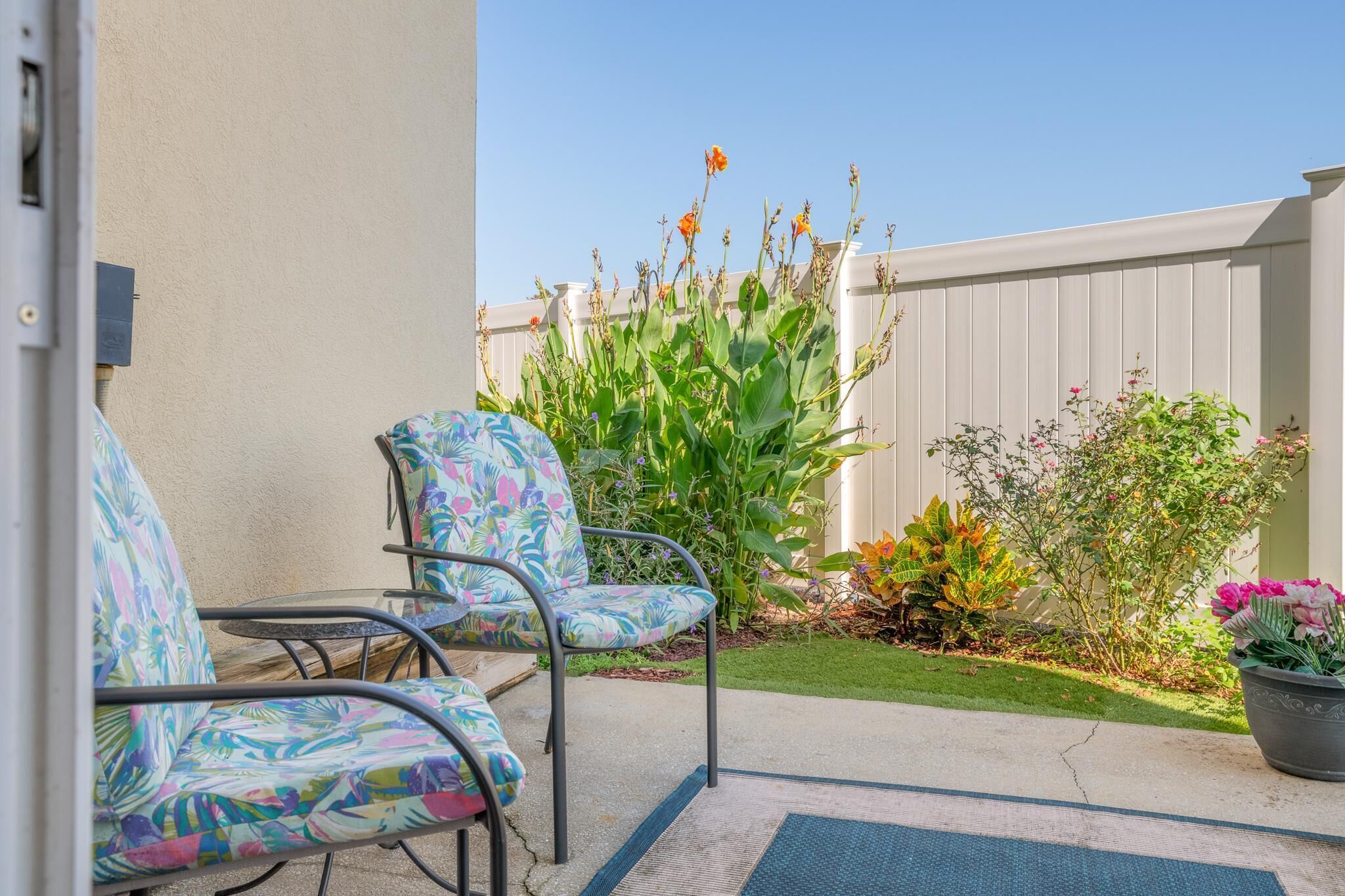 A patio with two chairs and a potted plant.