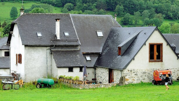 Eksteriør