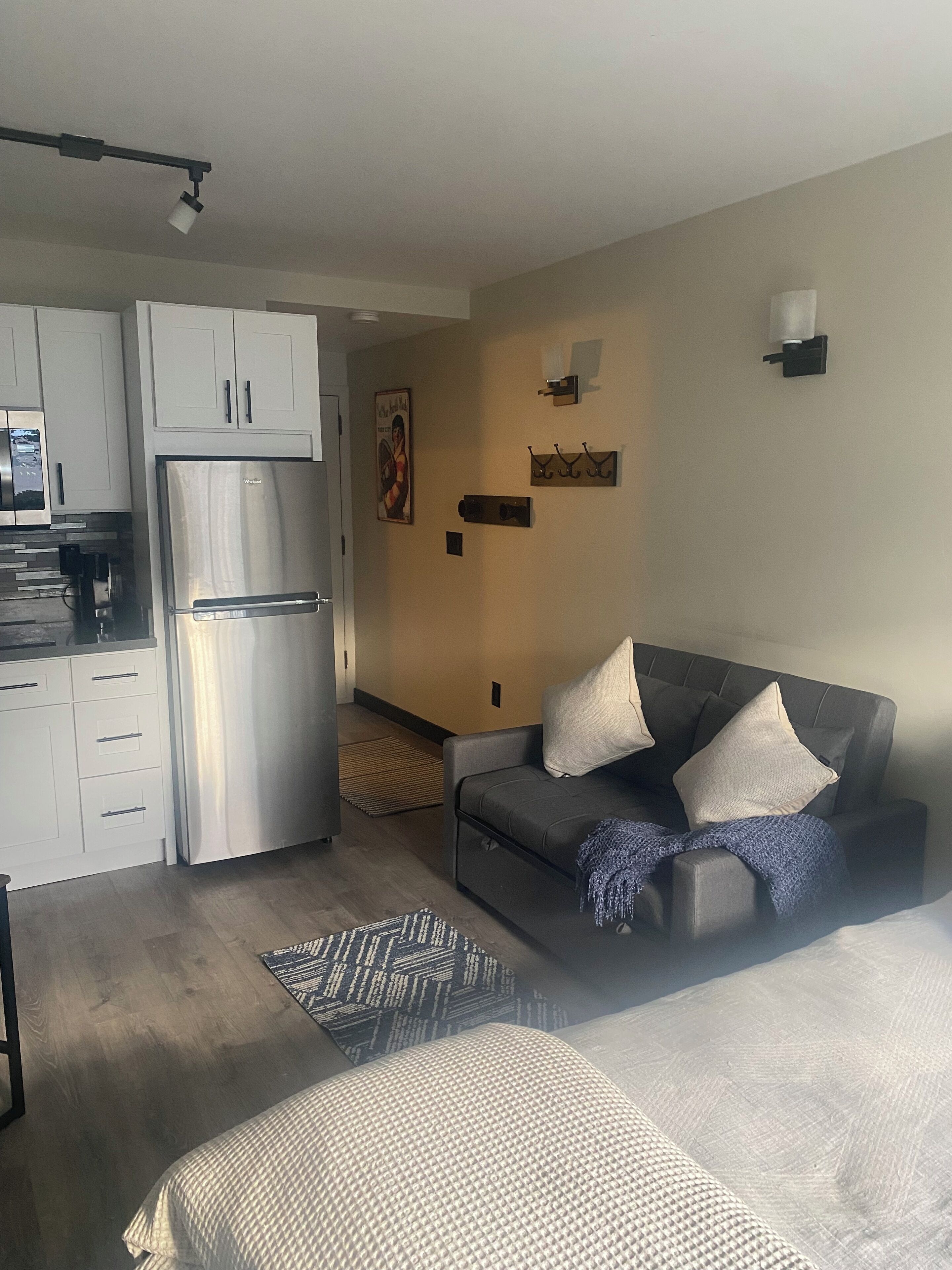 A modern living space with a kitchenette, a sofa, and a bed.