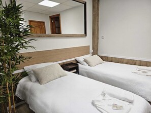 1 chambre, fer et planche à repasser, Wi-Fi, literie fournie