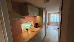 A narrow kitchen with a single sink, a stove, and cabinets. - Chaletpark Kempenbos - 196 (Diessen)