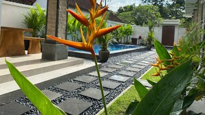 Uma área de piscina com um caminho de pedra, um banco de madeira e plantas tropicais.