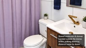 Separate tub and shower, soap, shampoo, toilet paper