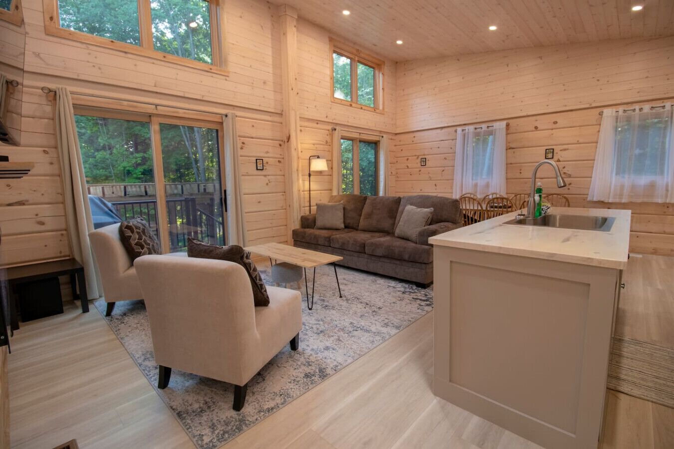 Télévision, cheminée, jeux vidéo, livres