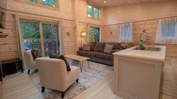 TV, fireplace, video games, books