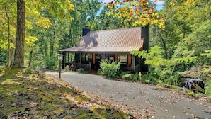 Une cabane rustique, dotée d’un toit en pente, entourée d’une forêt dense.