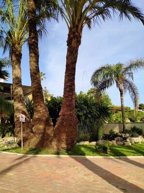 Jardines del alojamiento