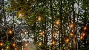 An outdoor dining area with a wooden table and chairs, surrounded by trees and string lights. - New A-Frame in wine country (Lake Leelanau)