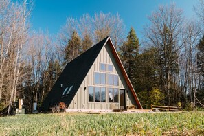Exterior - New A-Frame in wine country (Lake Leelanau)