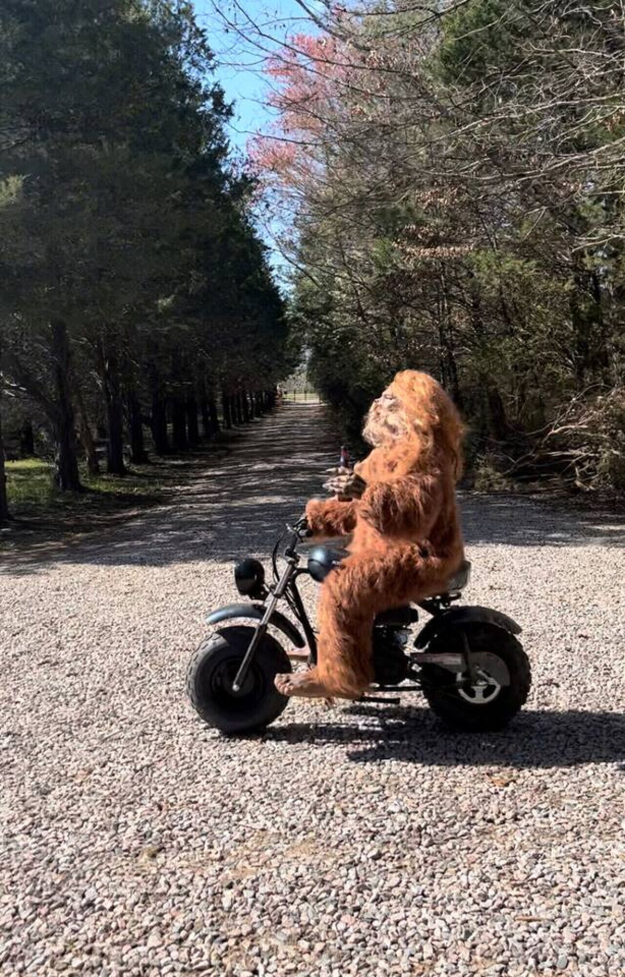 Henkilö ajaa kolmipyörällä sorapolkua pitkin, ja polun ympärillä on puita.
