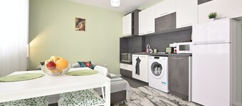 New Modern 1 bedroom with private parking