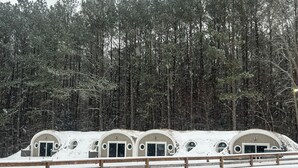 Een rij koepelvormige accommodaties met gebogen deuropeningen, omgeven door een besneeuwd landschap en een dicht bos op de achtergrond.