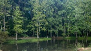 A circular concrete structure with a brick pattern, surrounded by dry grass and a body of water with trees in the background. - Private Earth Home Retreat, mini goats, fire pits and more - unit A (Littleton)
