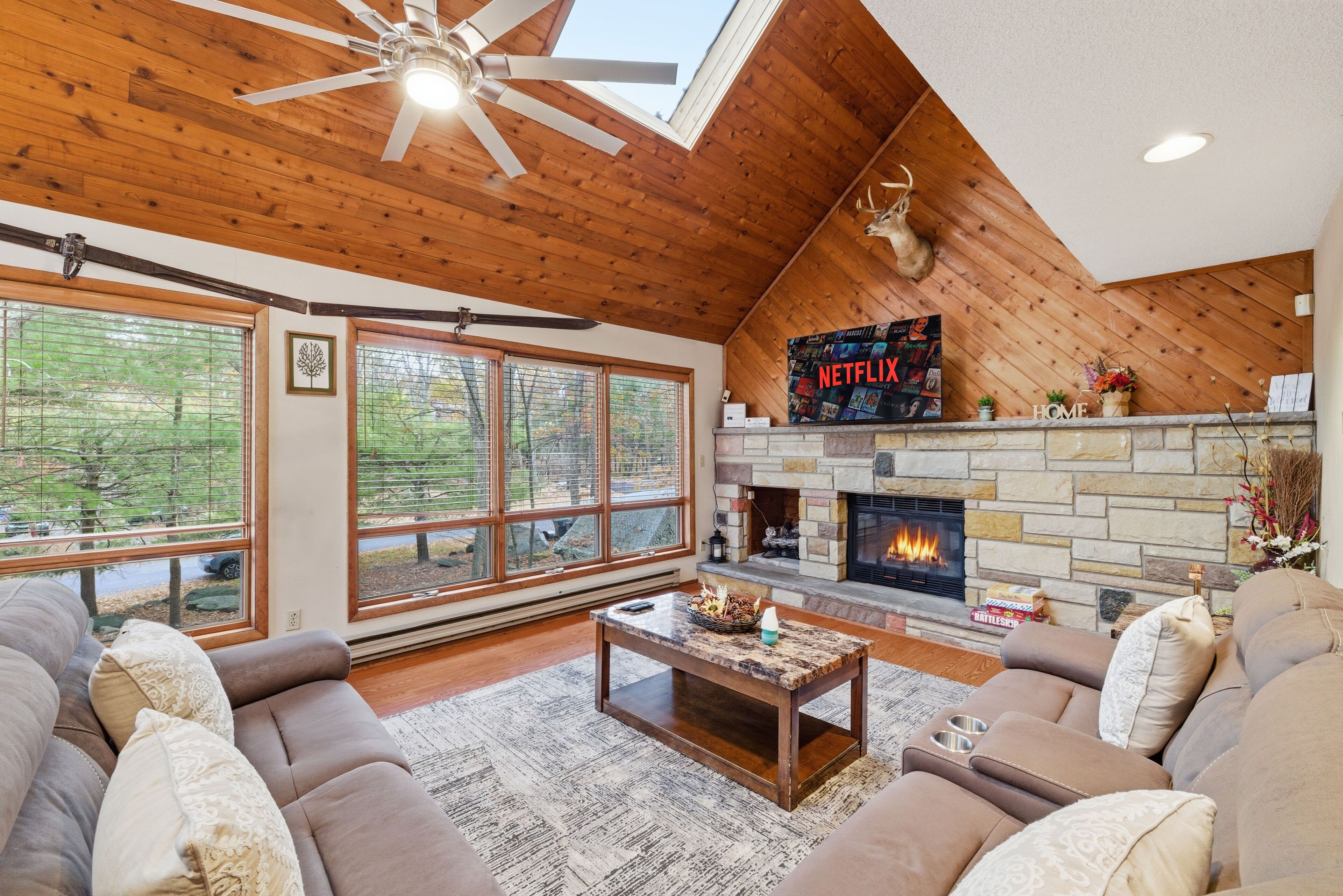 电视、壁炉、书、立体声音响